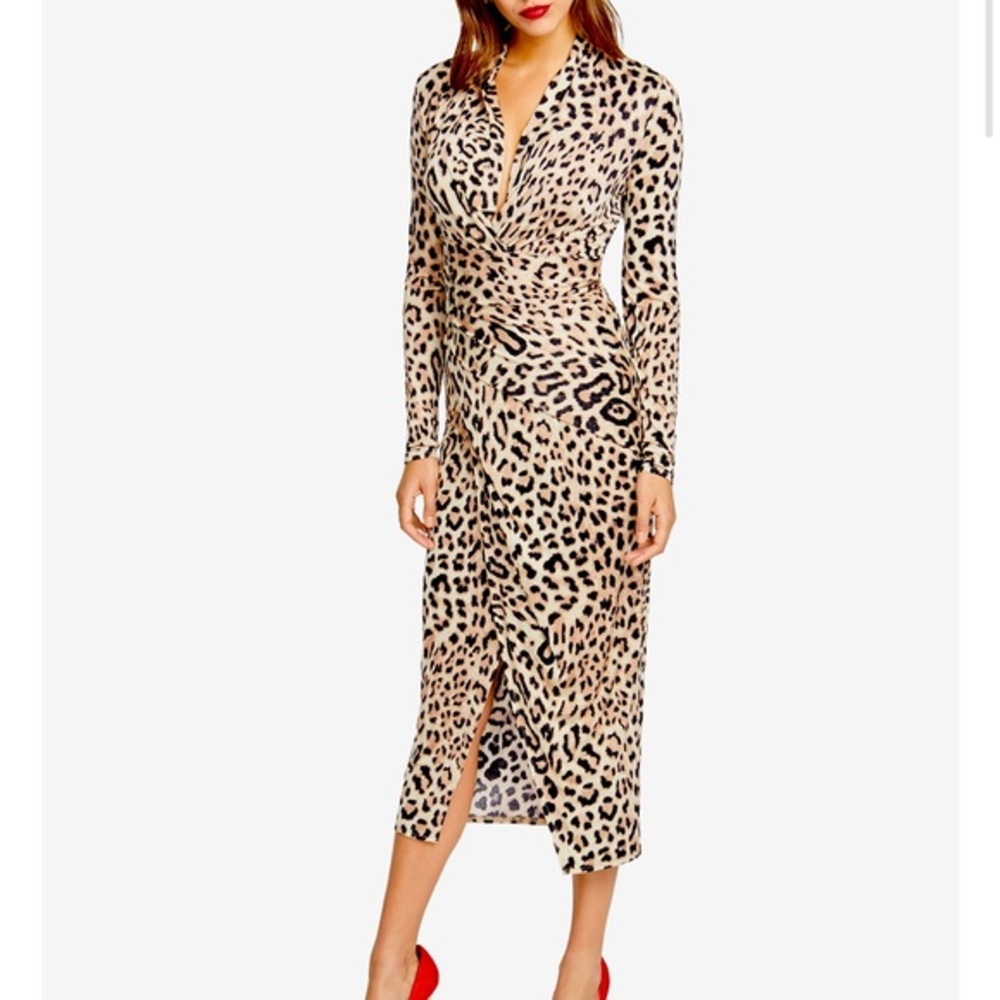Rachel Roy Animal Print Dress